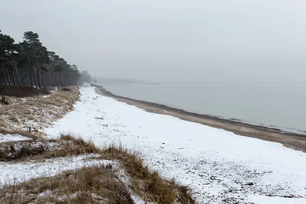 Балтійського моря і туманне ранок — стокове фото