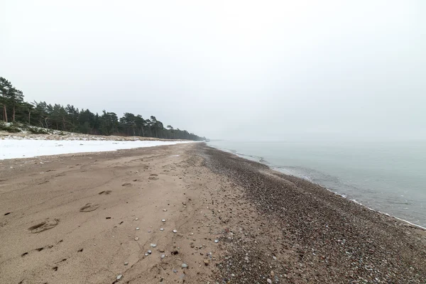 Балтийское море и туманное утро — стоковое фото