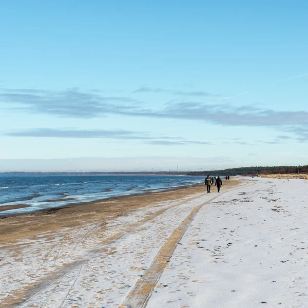 凍った海ビーチ — ストック写真