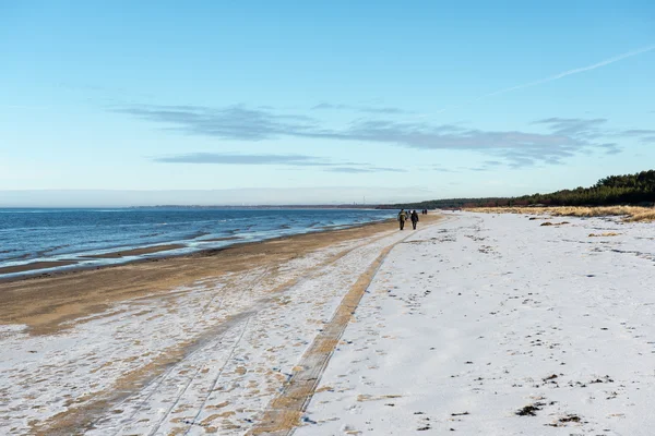 Playa de mar congelado —  Fotos de Stock