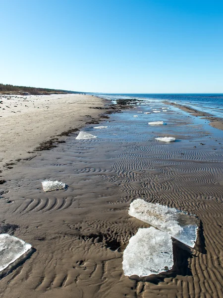 Gefrorener Meeresstrand — Stockfoto