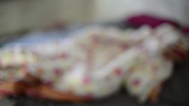 Üstünde belgili tanımlık pencere bitki, blur bulanıklık