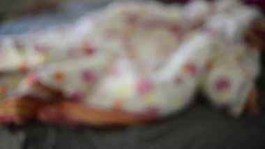 Üstünde belgili tanımlık pencere bitki, blur bulanıklık