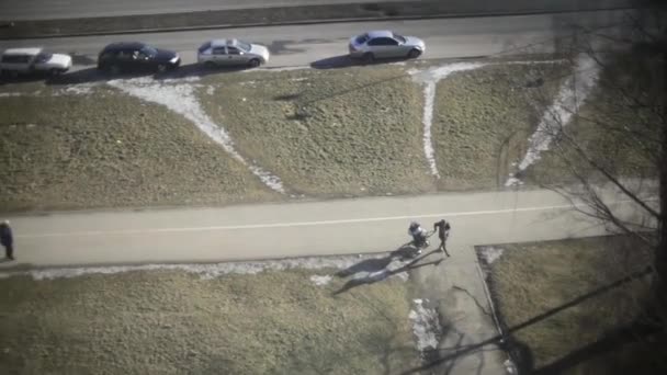 Plante sur la fenêtre, flou déconcentré — Video