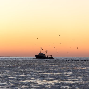 gün batımı donmuş deniz ve küçük gemi üzerinde uçan kuşlar