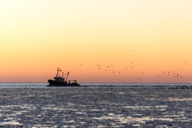 gün batımı donmuş deniz ve küçük gemi üzerinde uçan kuşlar