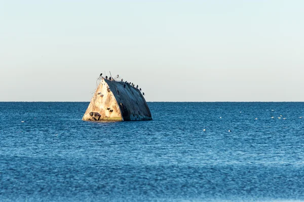 Frysta beach nära varvet och havet port — Stockfoto