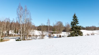 Karlı kış manzarası karla kaplı ağaçlar