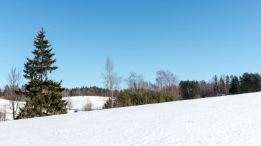 Karlı kış manzarası karla kaplı ağaçlar
