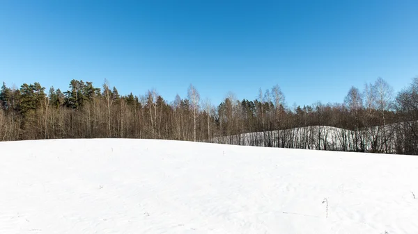 Paisagem de inverno nevado com árvores cobertas de neve — Fotografia de Stock