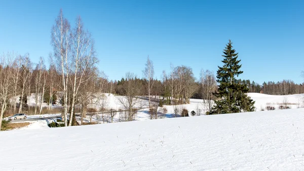 Karlı kış manzarası karla kaplı ağaçlar