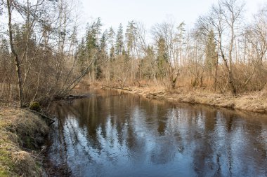 ülkede doğal bahar renkli Nehri