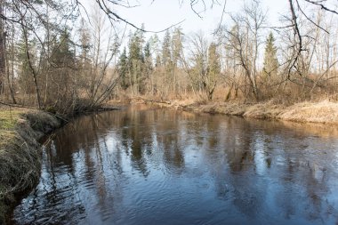 ülkede doğal bahar renkli Nehri