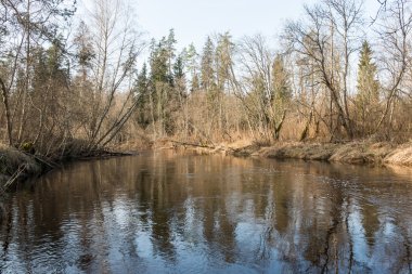 ülkede doğal bahar renkli Nehri