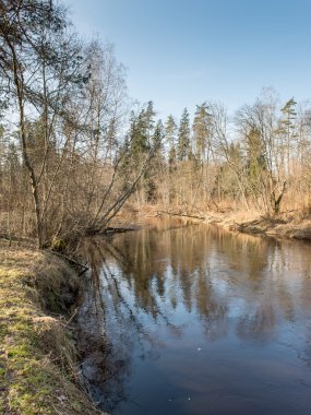 ülkede doğal bahar renkli Nehri