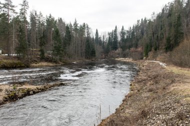 kumtaşı kayalıklarla Gaujas Milli Parkı, Letonya