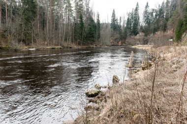 kumtaşı kayalıklarla Gaujas Milli Parkı, Letonya