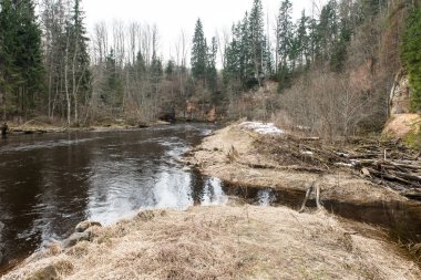 kumtaşı kayalıklarla Gaujas Milli Parkı, Letonya