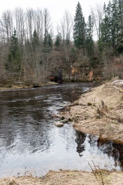 kumtaşı kayalıklarla Gaujas Milli Parkı, Letonya
