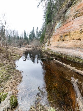 kumtaşı kayalıklarla Gaujas Milli Parkı, Letonya