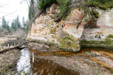 kumtaşı kayalıklarla Gaujas Milli Parkı, Letonya