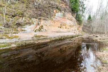 kumtaşı kayalıklarla Gaujas Milli Parkı, Letonya