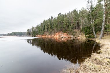 kumtaşı kayalıklarla Gaujas Milli Parkı, Letonya