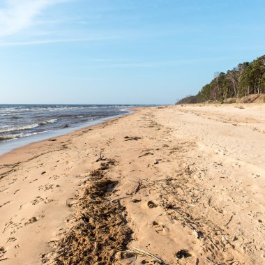 Baltık Denizi plaj kayalar ve kum tepeleri ile kıyı