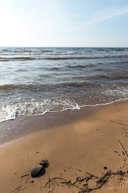 Baltık Denizi plaj kayalar ve kum tepeleri ile kıyı