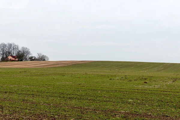 Green fields aerial view from view tower — Stock Photo, Image