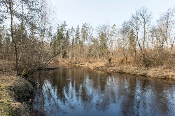Pemandangan musim semi berwarna sungai di negeri ini — Stok Foto