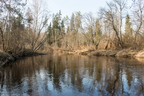 Schilderachtige voorjaar gekleurde rivier in land — Stockfoto