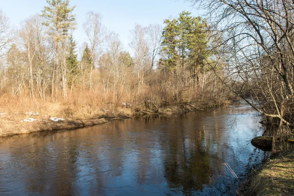 Schilderachtige voorjaar gekleurde rivier in land — Stockfoto