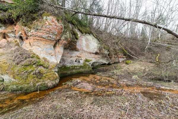 Homokkő sziklák a Gaujas Nemzeti Park, Lettország — Stock Fotó