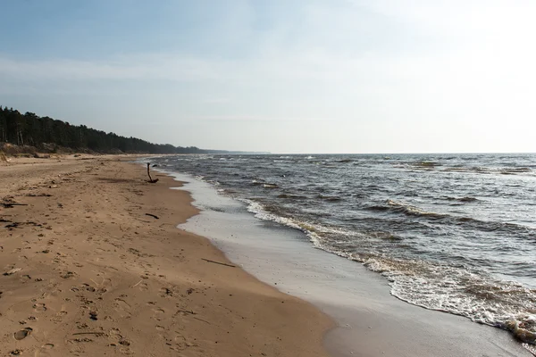 岩や砂の砂丘があるバルト海ビーチの海岸線 — ストック写真