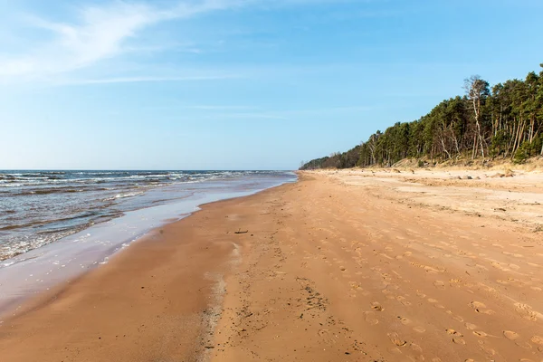 Берегової лінії берега Балтійського моря з каменів і піщані дюни — стокове фото