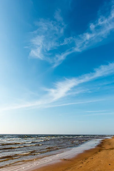 ชายฝั่งของชายหาดทะเลบอลติกที่มีหินและเนินทราย — ภาพถ่ายสต็อก