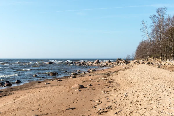 Kustlijn van Baltische Zee strand met rotsen en duinen — Stockfoto