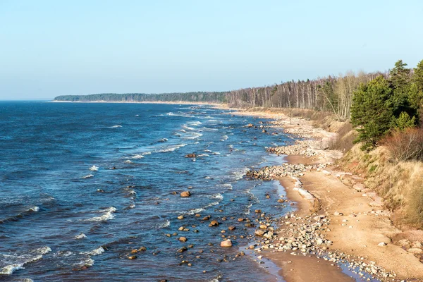 Берегової лінії берега Балтійського моря з каменів і піщані дюни — стокове фото