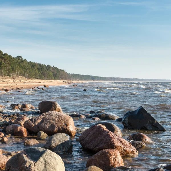 Kustlijn van Baltische Zee strand met rotsen en duinen — Stockfoto