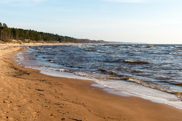 岩や砂の砂丘があるバルト海ビーチの海岸線 — ストック写真