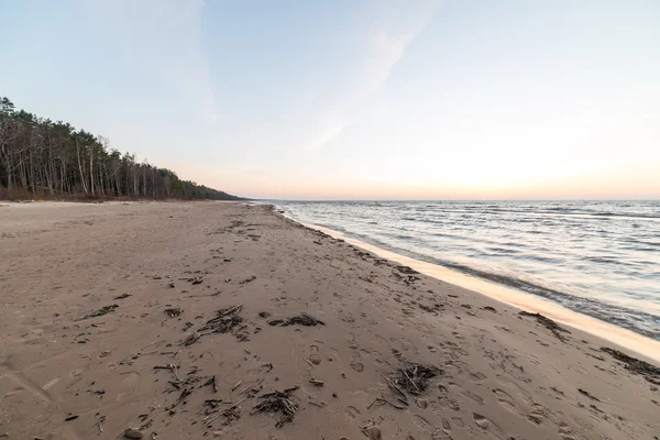 Pobřeží Baltského moře pláže se skalami a písečnými dunami — Stock fotografie