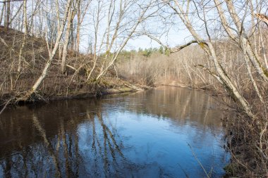 ülkede doğal bahar renkli Nehri