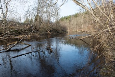 ülkede doğal bahar renkli Nehri