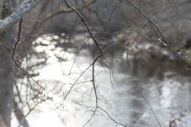 ülkede doğal bahar renkli Nehri