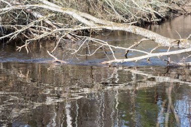 ülkede doğal bahar renkli Nehri
