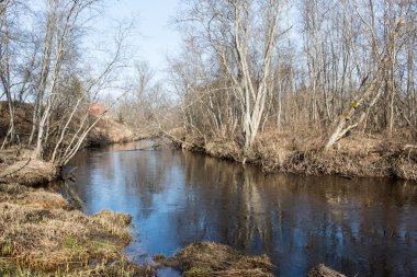 ülkede doğal bahar renkli Nehri