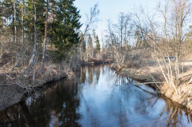 ülkede doğal bahar renkli Nehri
