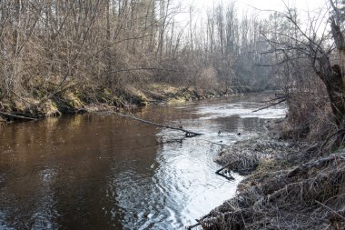ülkede doğal bahar renkli Nehri