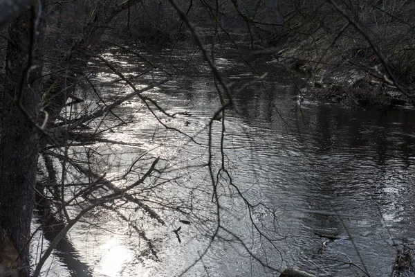 Malerischer frühlingshafter Fluss im Land — Stockfoto